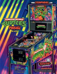 Teenage Mutant Ninja Turtles Pro Flyer